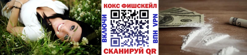 COCAIN FishScale  даркнет сайт  Нерехта 