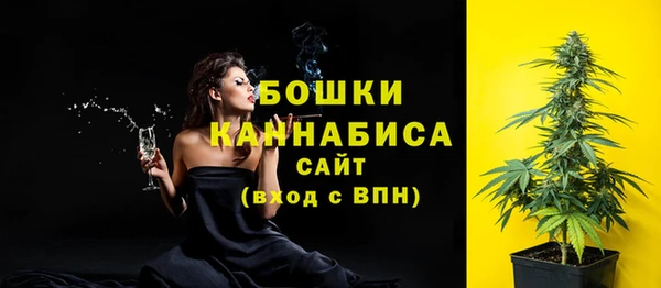 PSILOCYBIN Новокубанск