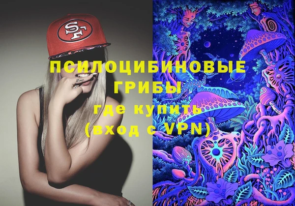 МДПВ Новодвинск
