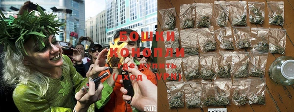PSILOCYBIN Новокубанск