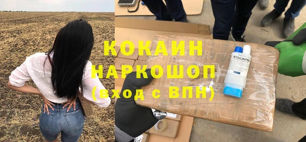 меф Няндома