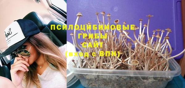 МДПВ Новодвинск