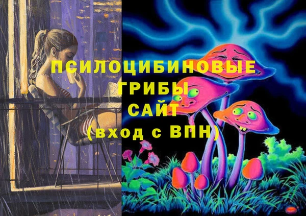 эйфоретик Бронницы