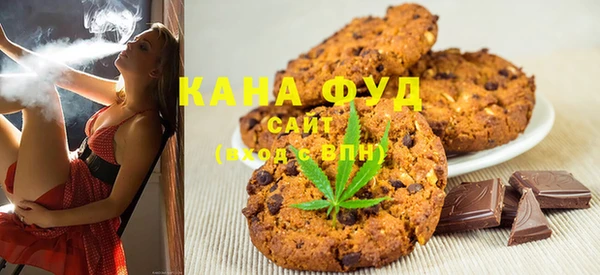 крисы Бородино