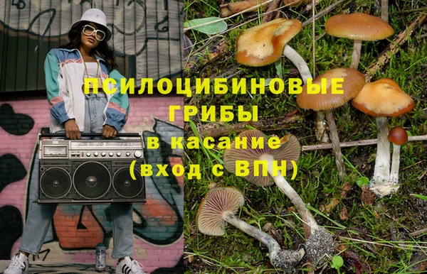меф Няндома