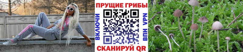 наркота  blacksprut вход  Псилоцибиновые грибы MAGIC MUSHROOMS  Нерехта 